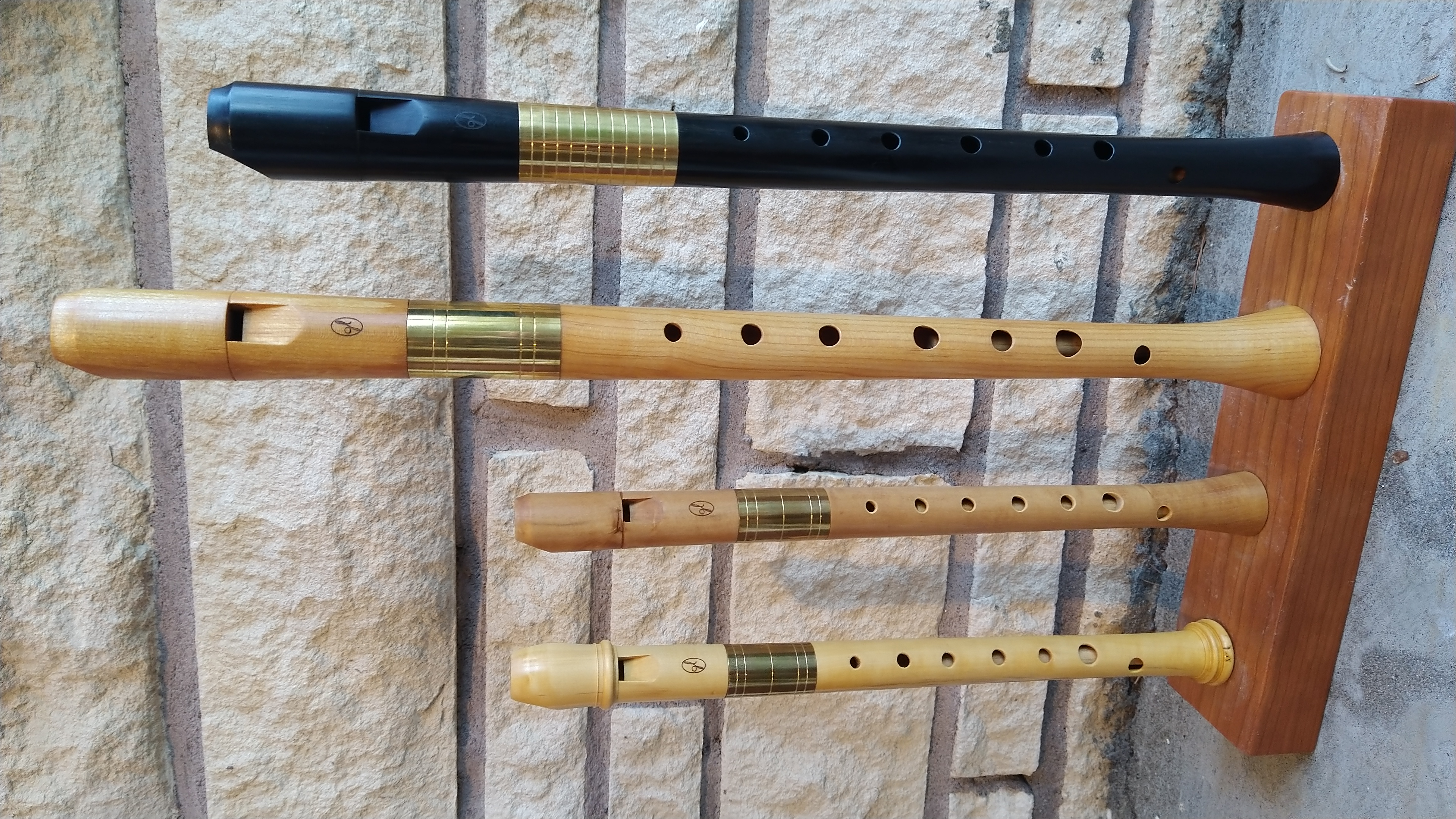 Transitional recorders on stand